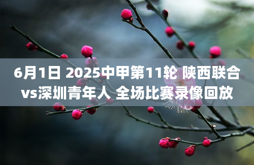 6月1日 2025中甲第11轮 陕西联合vs深圳青年人 全场比赛录像回放