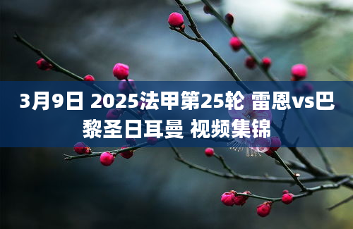 3月9日 2025法甲第25轮 雷恩vs巴黎圣日耳曼 视频集锦