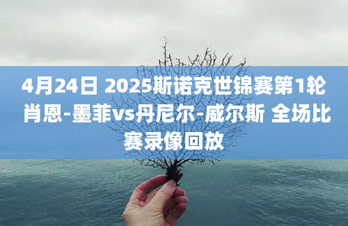 4月24日 2025斯诺克世锦赛第1轮 肖恩-墨菲vs丹尼尔-威尔斯 全场比赛录像回放