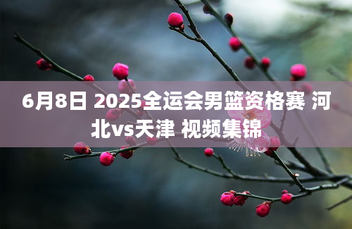 6月8日 2025全运会男篮资格赛 河北vs天津 视频集锦