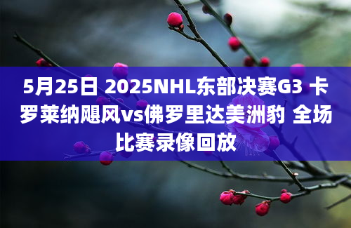5月25日 2025NHL东部决赛G3 卡罗莱纳飓风vs佛罗里达美洲豹 全场比赛录像回放
