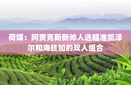 荷媒：阿贾克斯新帅人选瞄准凯泽尔和海廷加的双人组合