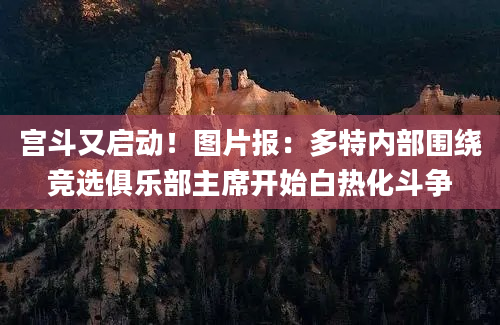 宫斗又启动！图片报：多特内部围绕竞选俱乐部主席开始白热化斗争