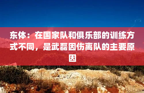 东体：在国家队和俱乐部的训练方式不同，是武磊因伤离队的主要原因