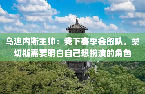 乌迪内斯主帅：我下赛季会留队，桑切斯需要明白自己想扮演的角色