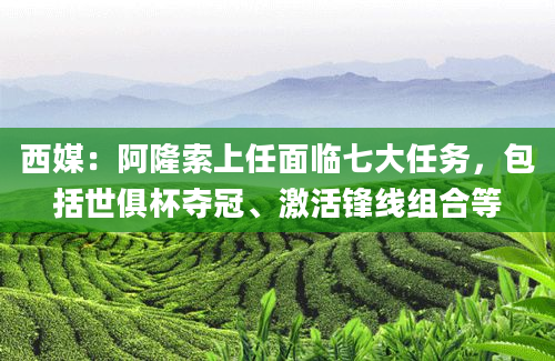 西媒：阿隆索上任面临七大任务，包括世俱杯夺冠、激活锋线组合等