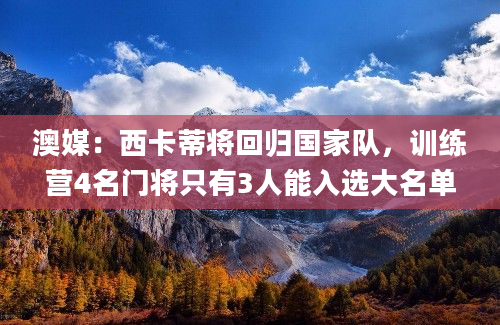 澳媒：西卡蒂将回归国家队，训练营4名门将只有3人能入选大名单