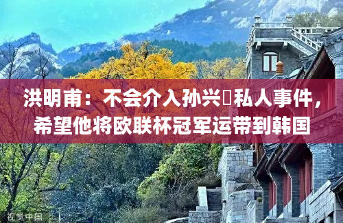 洪明甫：不会介入孙兴慜私人事件，希望他将欧联杯冠军运带到韩国