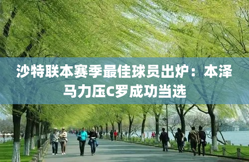 沙特联本赛季最佳球员出炉：本泽马力压C罗成功当选