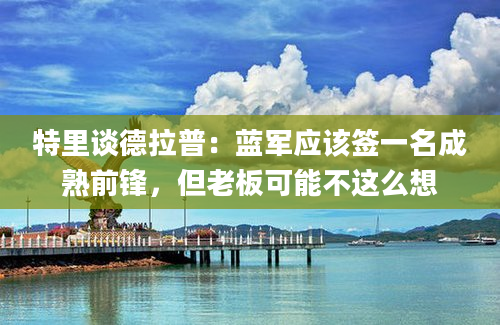 特里谈德拉普：蓝军应该签一名成熟前锋，但老板可能不这么想